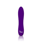 "Vivacious - Violet - Intense 10-Function Bullet VB-66110"