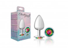 Cheeky Charms-Silver Metal Butt Plug- Round-Rainbow-Large
