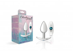 Cheeky Charms-Silver Metal Butt Plug Kit- Clear/Teal